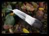 plume-de-ramier