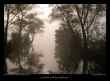 canal-du-jard-dans-la-brume