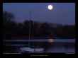 clair-de-lune-sur-l'etang