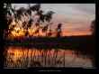 coucher-de-soleil-dans-les-