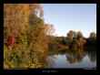 les-berges-boisées