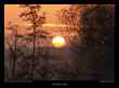 soleil-du-matin