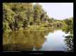 vue-sur-letang-dAmaury