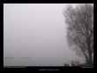 brouillard-sur-l'étang-d'am