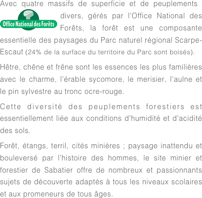 Avec quatre massifs de superficie et de peuplements ￼divers, gérés par l'Office National des Forêts, la forêt est une composante essentielle des paysages du Parc naturel régional Scarpe-Escaut (24% de la surface du territoire du Parc sont boisés).
Hêtre, chêne et frêne sont les essences les plus familières avec le charme, l'érable sycomore, le merisier, l'aulne et le pin sylvestre au tronc ocre-rouge.
Cette diversité des peuplements forestiers est essentiellement liée aux conditions d'humidité et d'acidité des sols. 
Forêt, étangs, terril, cités minières ; paysage inattendu et bouleversé par l’histoire des hommes, le site minier et forestier de Sabatier offre de nombreux et passionnants sujets de découverte adaptés à tous les niveaux scolaires et aux promeneurs de tous âges.