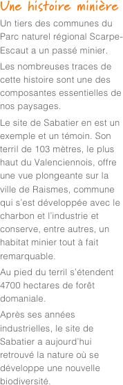 Une histoire minière
Un tiers des communes du Parc naturel régional Scarpe-Escaut a un passé minier.Les nombreuses traces de cette histoire sont une des composantes essentielles de nos paysages. Le site de Sabatier en est un exemple et un témoin. Son terril de 103 mètres, le plus haut du Valenciennois, offre une vue plongeante sur la ville de Raismes, commune qui s’est développée avec le charbon et l’industrie et conserve, entre autres, un habitat minier tout à fait remarquable. Au pied du terril s’étendent 4700 hectares de forêt domaniale.Après ses années industrielles, le site de Sabatier a aujourd’hui retrouvé la nature où se développe une nouvelle biodiversité. 